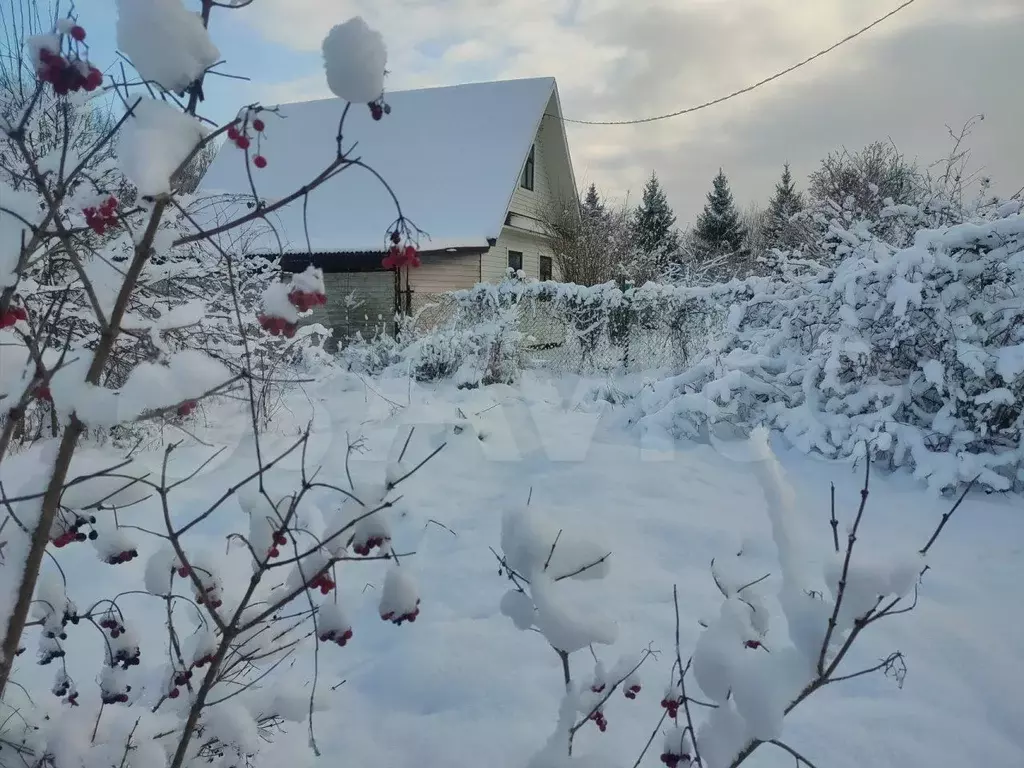 Дом 54 м на участке 10 сот. - Фото 1