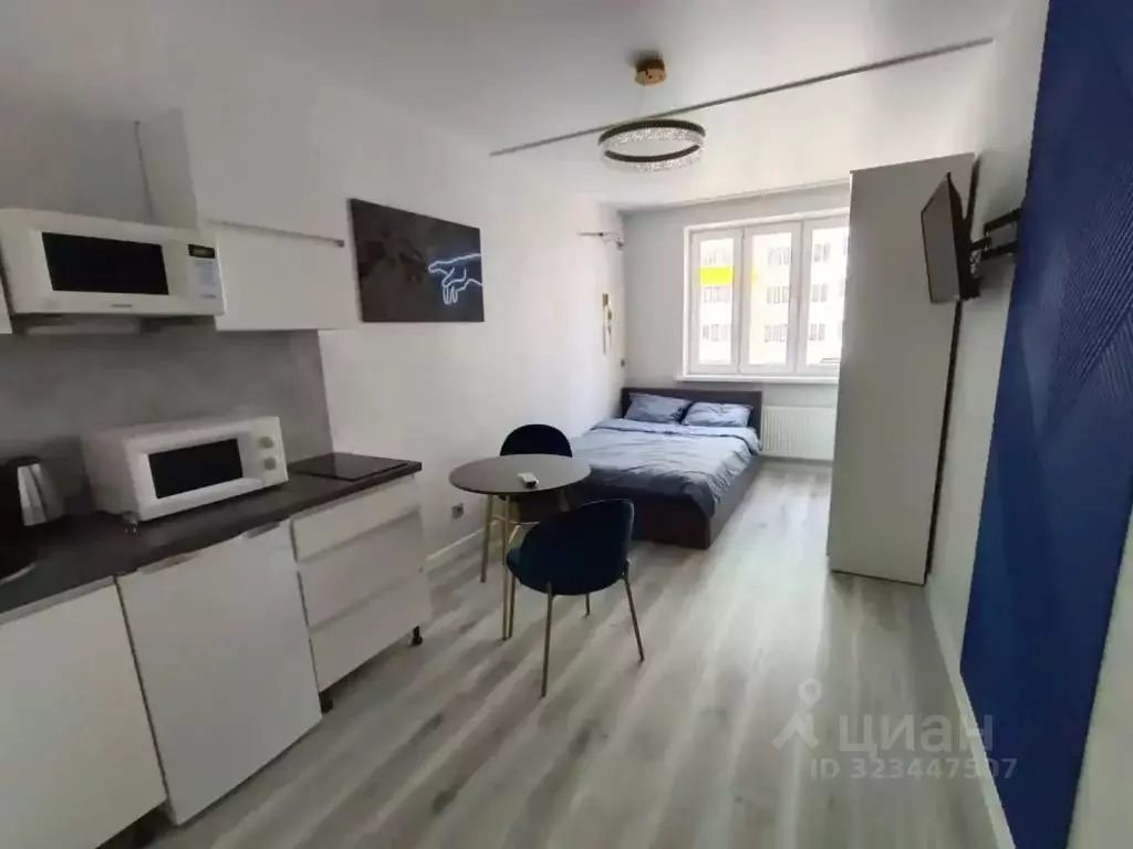 1-к кв. Самарская область, Самара проезд 4-й, 67 (22.0 м) - Фото 2