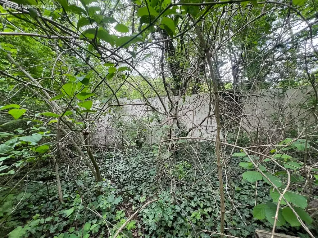 Участок в село Мысхако, Заречная улица (6.91 м) - Фото 1