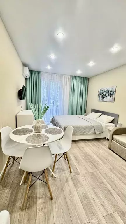 Студия Краснодарский край, Сочи ул. Искры, 88к3 (27.4 м) - Фото 1