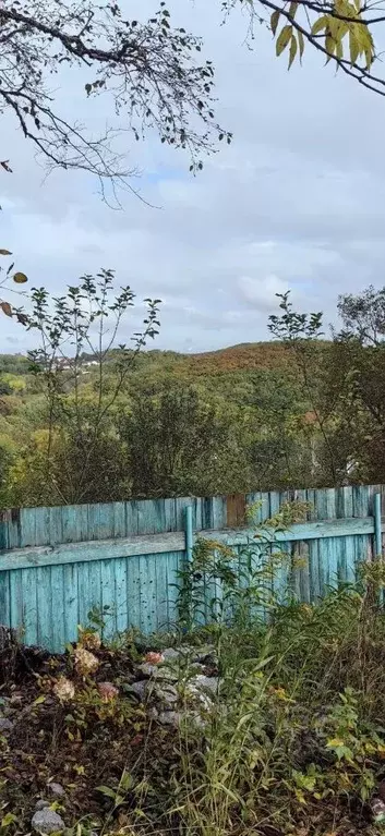 Участок в Хабаровский край, Хабаровск ул. Светлый ключ-4 (10.0 сот.) - Фото 2