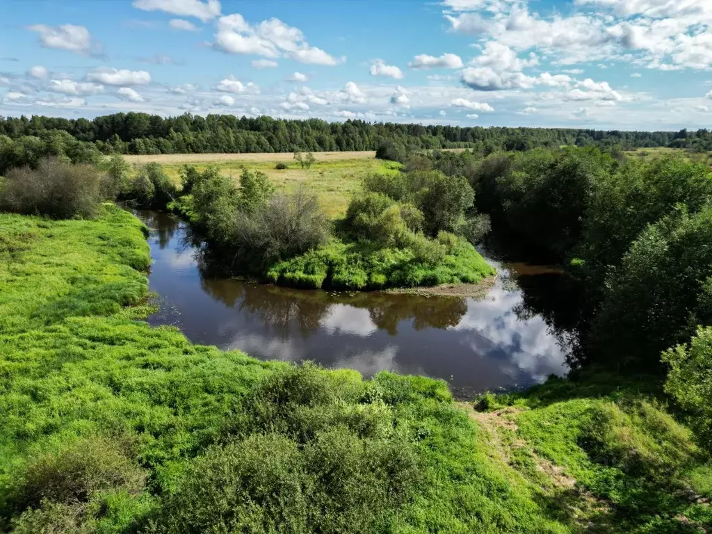 Участок в Ленинградская область, Гатчинский муниципальный округ, д. ... - Фото 2