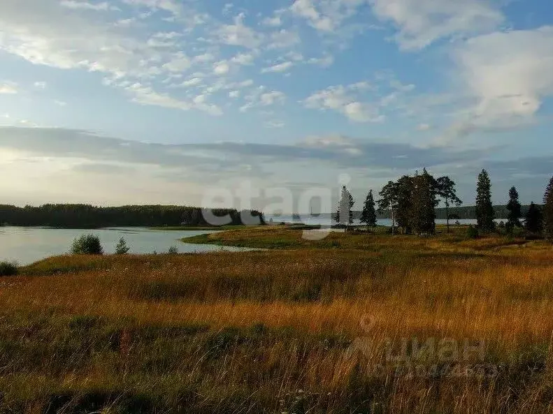Участок в Костромская область, Костромской район, Самсоновское с/пос, ... - Фото 1