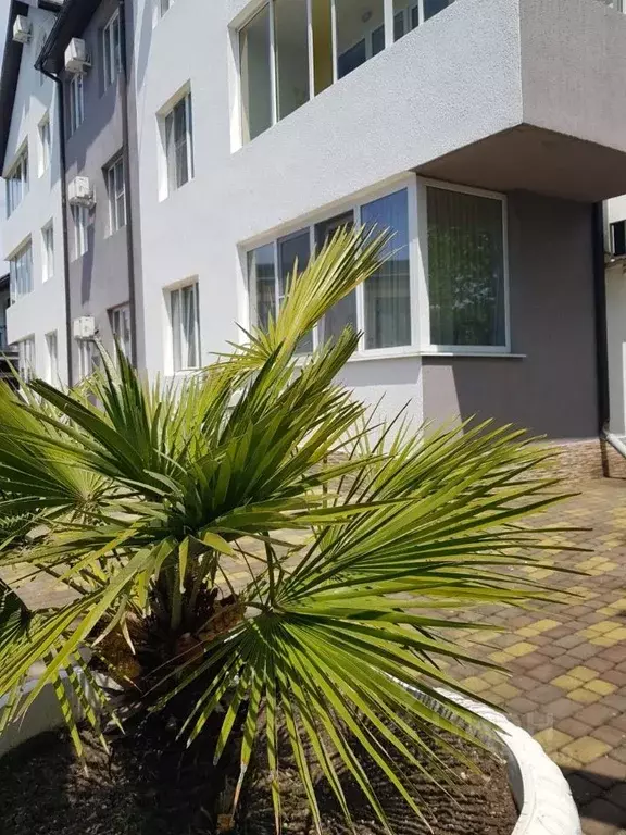 Студия Краснодарский край, Сочи ул. Свободы (39.7 м) - Фото 2