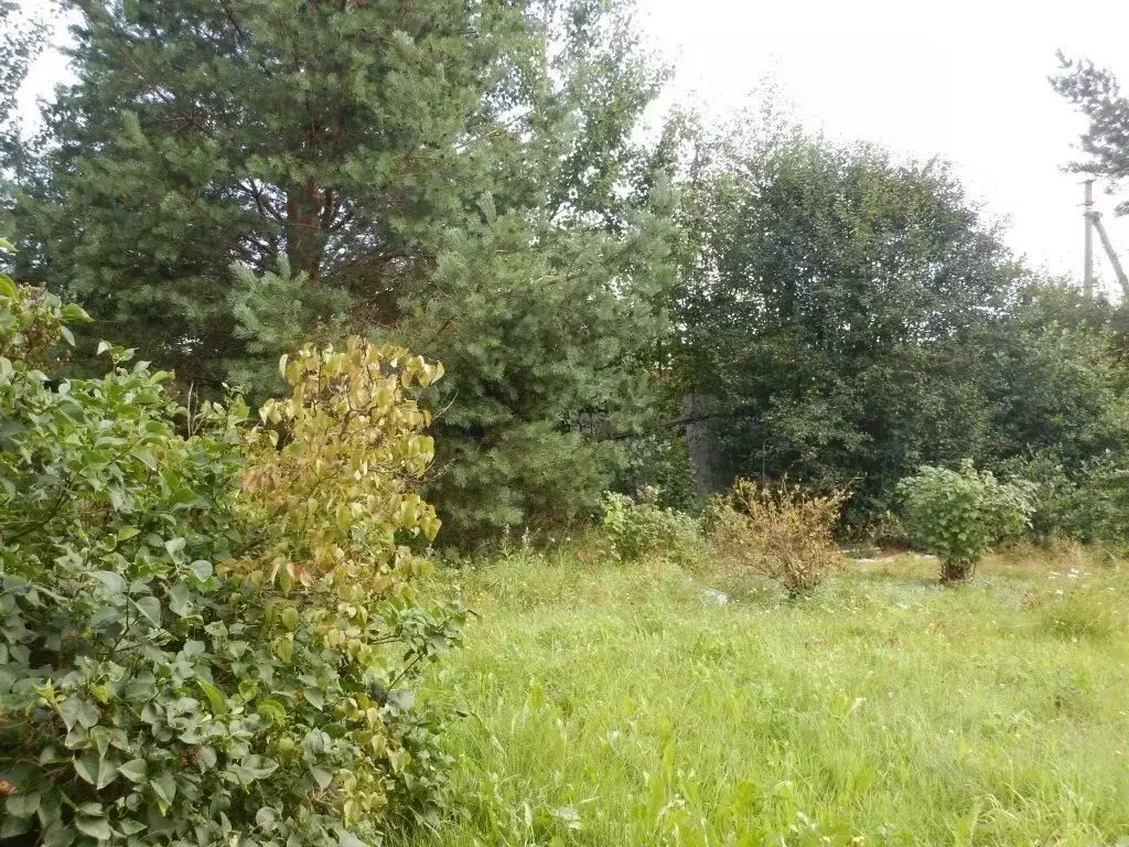 Дом в Ленинградская область, Приозерский район, Раздольевское с/пос, ... - Фото 2