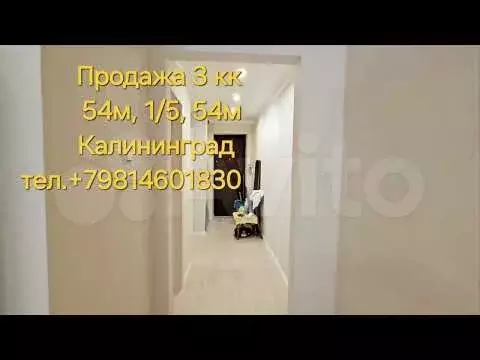 3-к. квартира, 54 м, 1/5 эт. - Фото 1