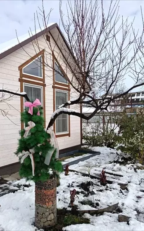 Дом в Краснодарский край, Мостовской пгт ул. Горького, 25Б (25 м) - Фото 2