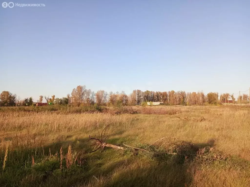 Участок в Красноярский край, Минусинский муниципальный округ, посёлок ... - Фото 2