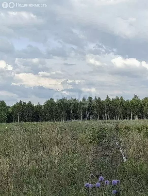 Участок в Томский район, деревня Петровский Участок, Петровский парк ... - Фото 1