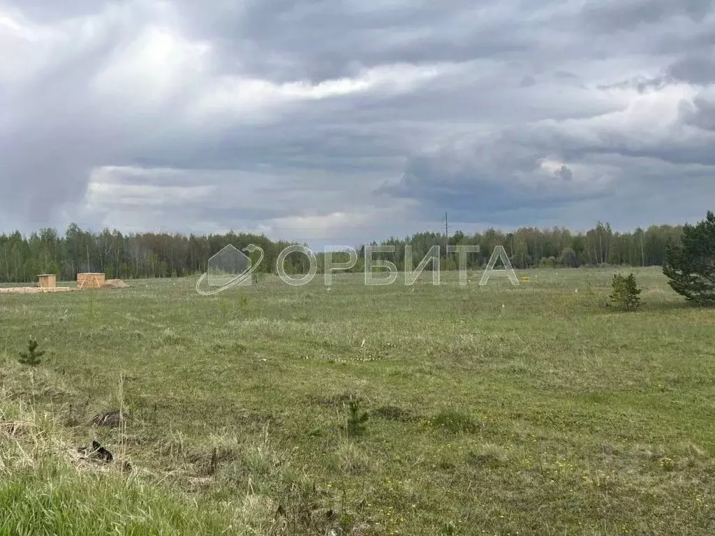 Участок в Тюменская область, Нижнетавдинский муниципальный округ, пос. ... - Фото 2