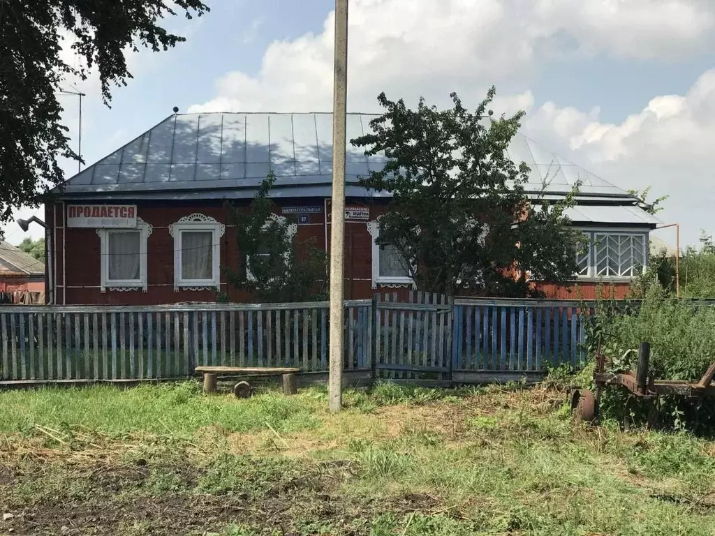 Дом в Тамбовская область, Сосновский муниципальный округ, с. Березовка ... - Фото 0