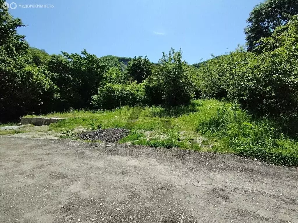Участок в село Тенгинка, Каштановая улица (6 м) - Фото 1