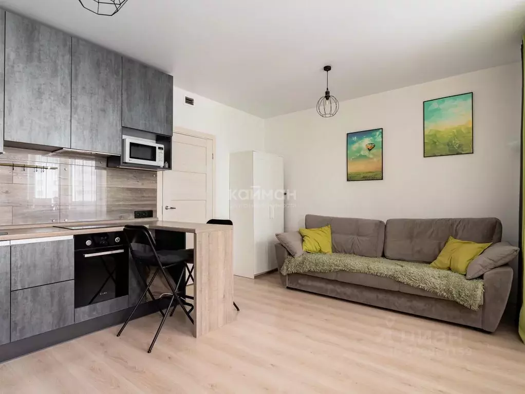 Студия Санкт-Петербург Парашютная ул., 42к2 (25.0 м) - Фото 2