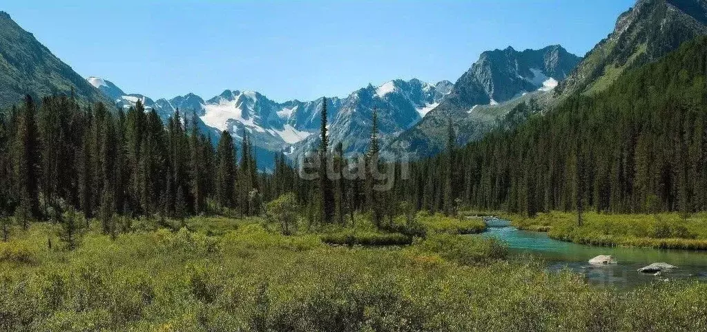 Участок в Алтай, Усть-Коксинский район, с. Верх-Уймон  (1200.0 сот.) - Фото 0