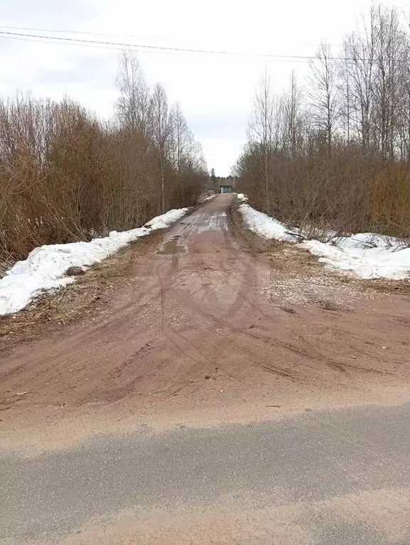 Участок 15 сот. (ИЖС) - Фото 1