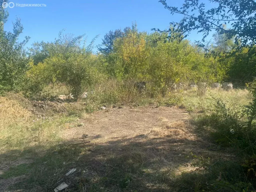 Участок в Рассветовское сельское поселение, садоводческое ... - Фото 1