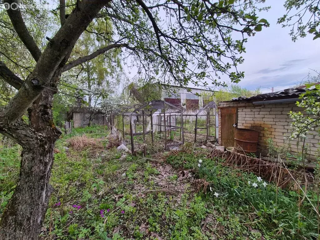 Участок в Брянск, СДТ Городищенское, 13 (5.56 м) - Фото 1