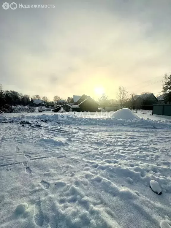 Участок в посёлок Пушное, проезд Лесные Покосы (14.55 м) - Фото 1