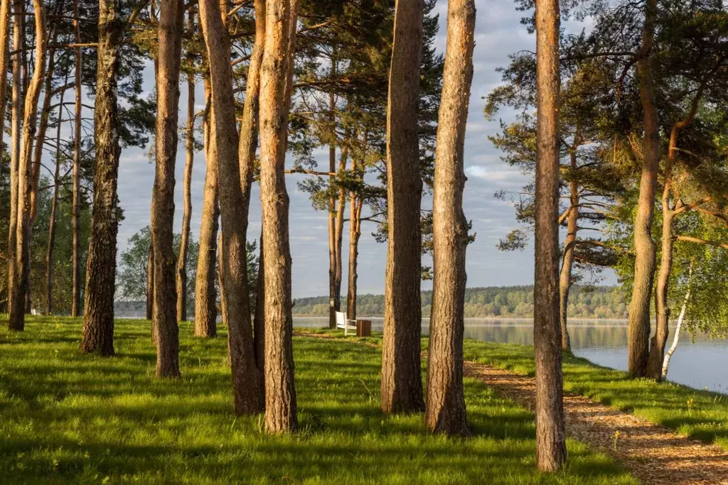 Участок в Московская область, Можайский муниципальный округ, Усадьбы ... - Фото 0