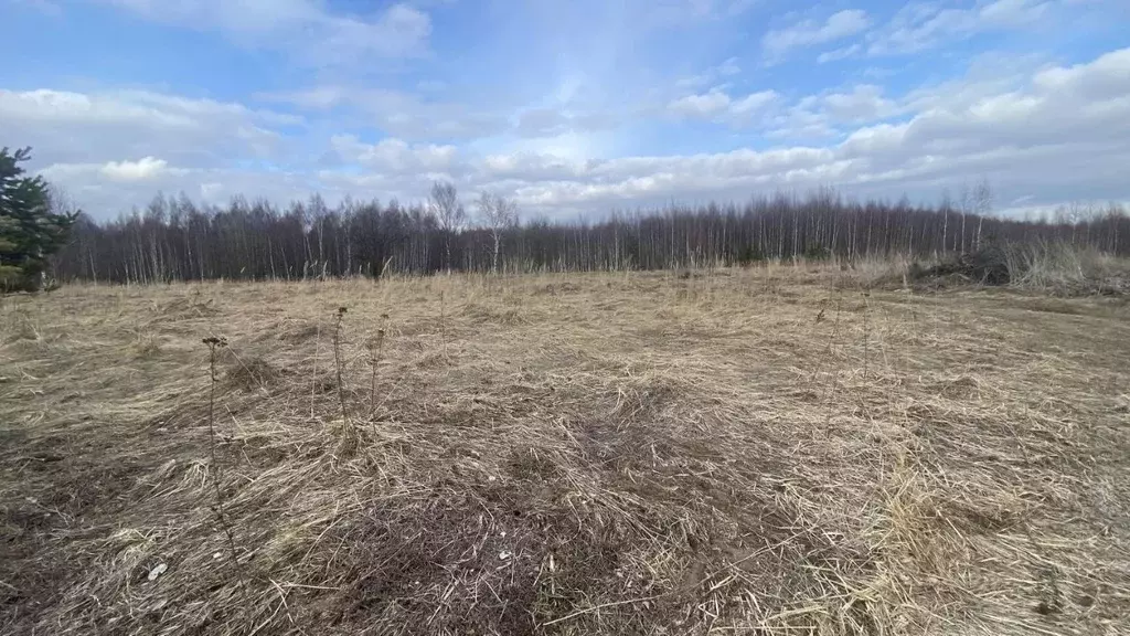 Участок в Московская область, Клин городской округ, д. Новая  (8.51 ... - Фото 0