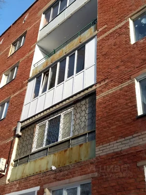 Студия Омская область, Омск ул. Куйбышева, 138а (24.0 м) - Фото 1