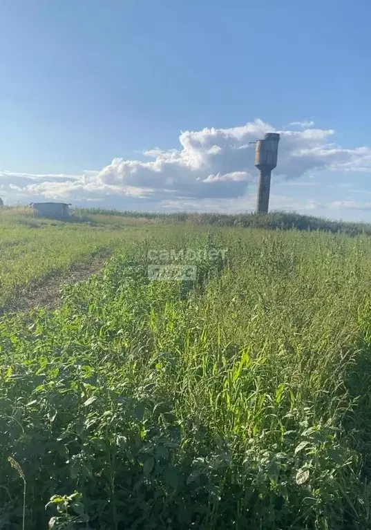 Участок в Брянская область, Жуковский муниципальный округ, с. Овстуг ... - Фото 2