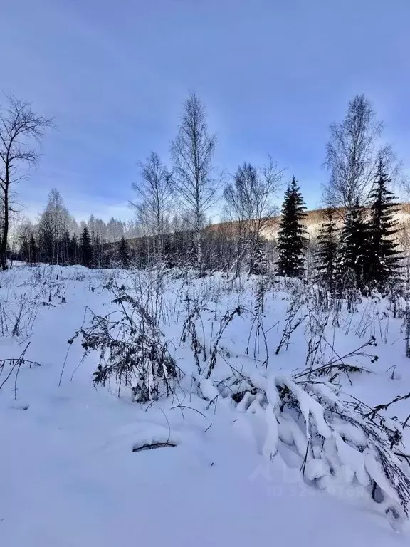 Участок в Пермский край, Губаха пос. Первомайский,  (59.0 сот.) - Фото 1