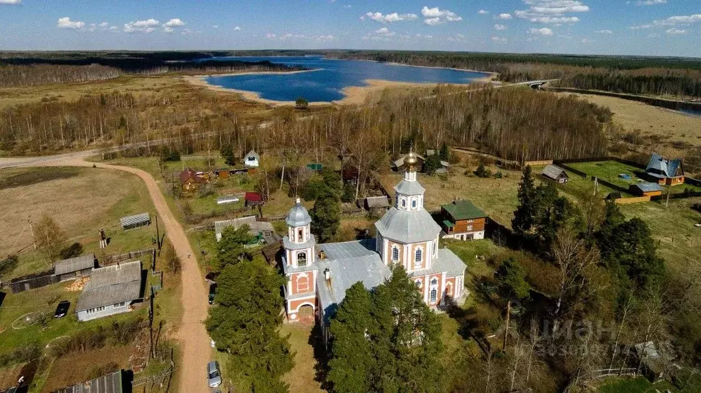 Участок в Тверская область, Осташковский городской округ, д. Верхние ... - Фото 1