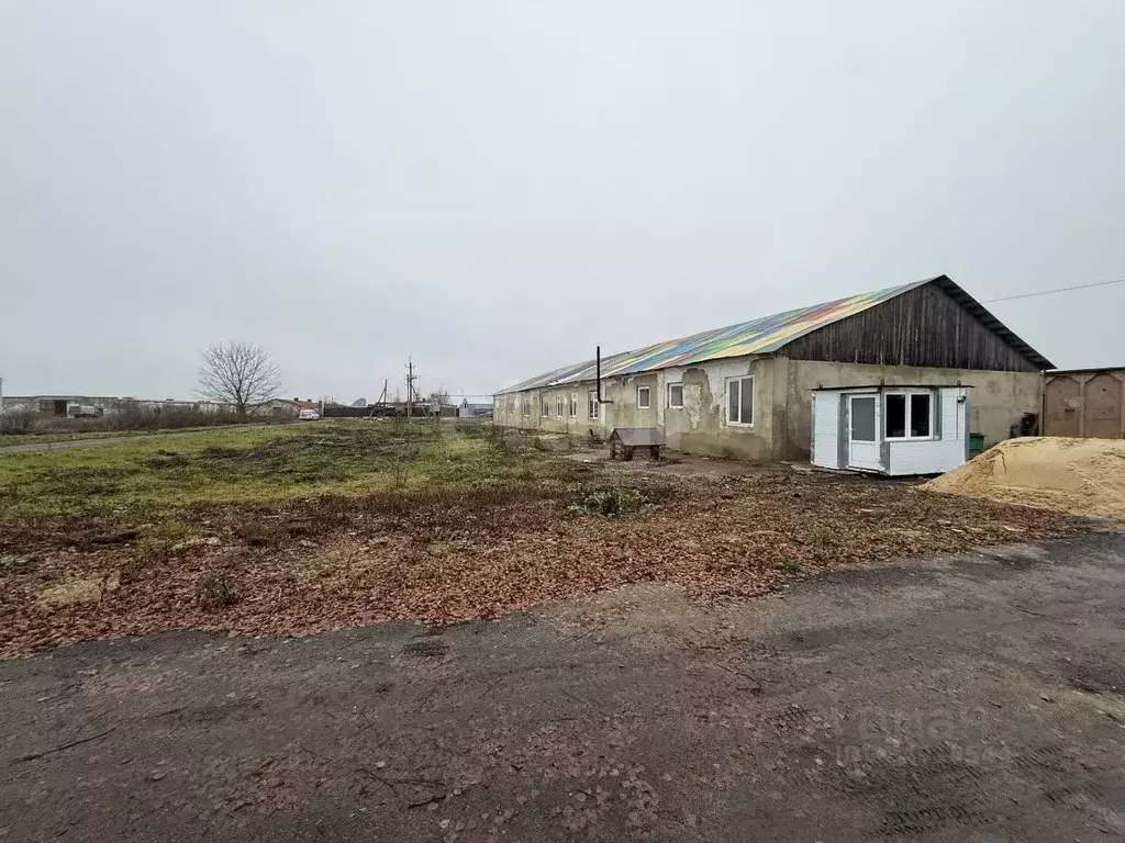 Помещение свободного назначения в Тамбовская область, Тамбовский ... - Фото 1