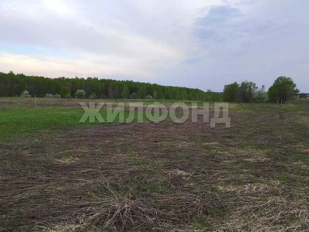Участок в деревня Тиганово, Зареченская улица (25 м) - Фото 1