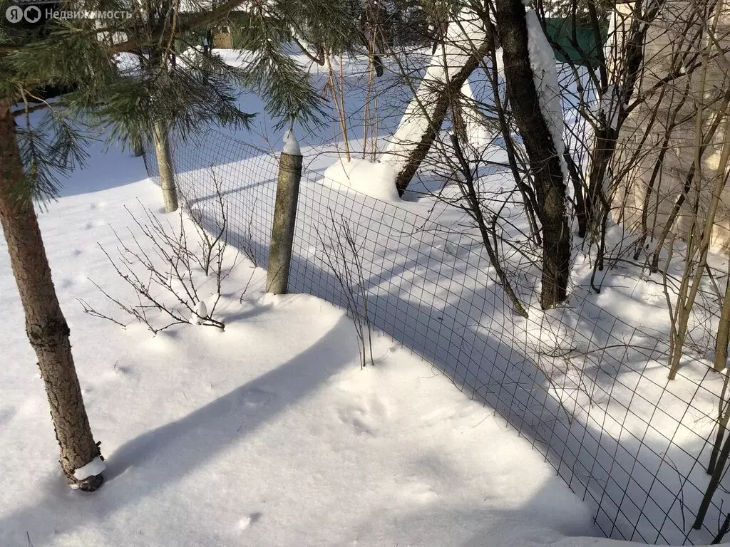 Участок в деревня Николо-Хованское, СНТ Коммунарка-1, 147 (8 м) - Фото 1