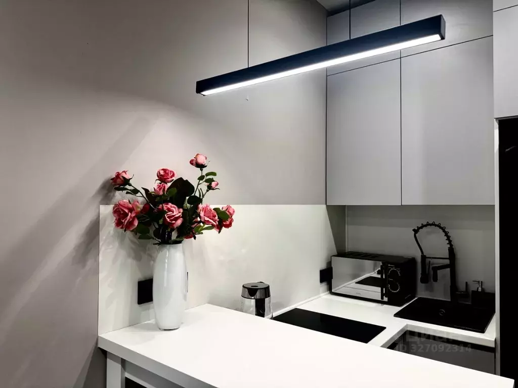 Студия Краснодарский край, Сочи городской округ, Дагомыс пгт ш. ... - Фото 1