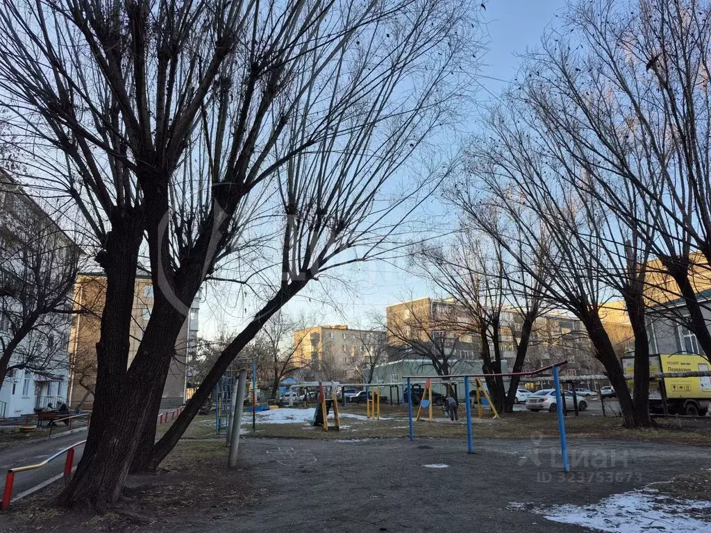 2-к кв. Курганская область, Курган ул. Коли Мяготина, 81 (45.3 м) - Фото 2