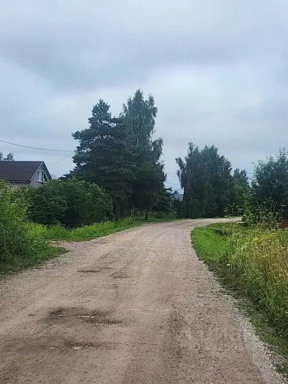 Участок в Новгородская область, Чудово  (9.0 сот.) - Фото 1