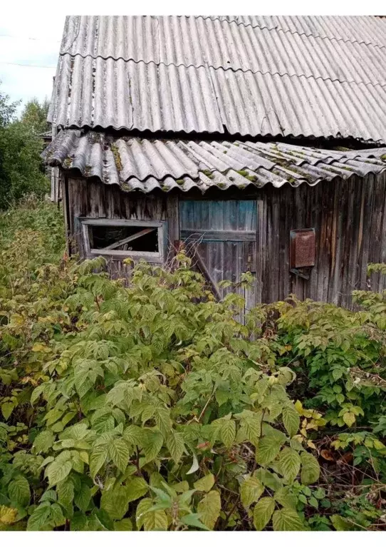 Помещение свободного назначения в Карелия, Сегежский муниципальный ... - Фото 1