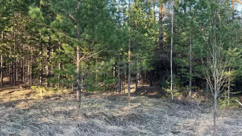 Участок в Татарстан, Казань  (15.0 сот.) - Фото 1