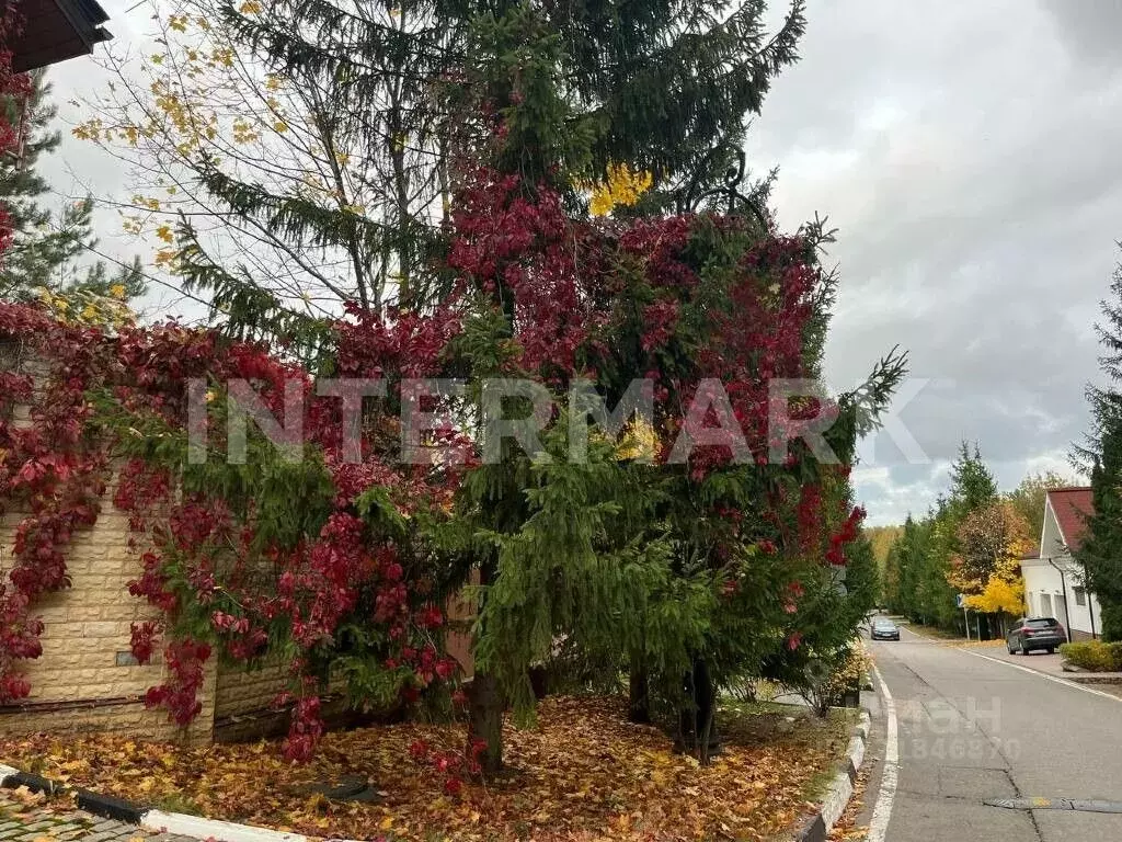 Участок в Московская область, Одинцовский городской округ, д. ... - Фото 1