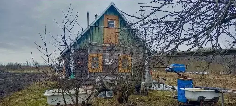 Дом в Вологодская область, пос. Васильевское  (30 м) - Фото 1