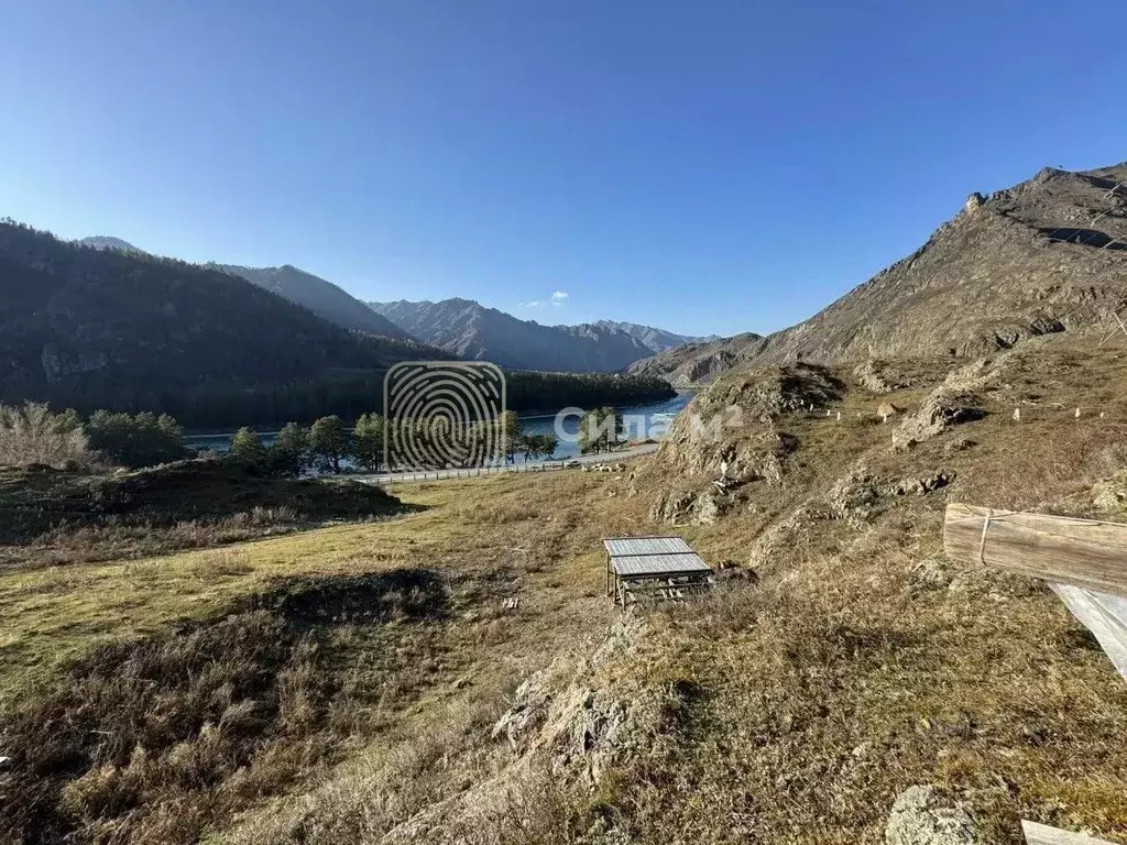 Участок в Алтай, Чемальский район, с. Еланда  (76.7 сот.) - Фото 2