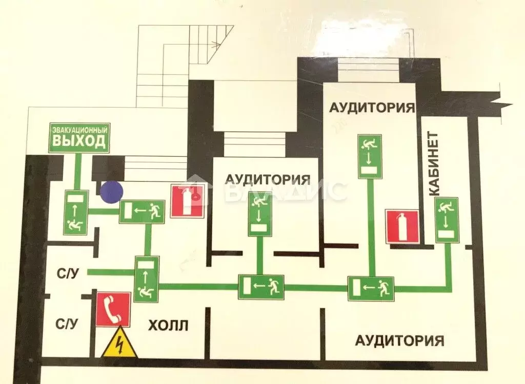 Помещение свободного назначения в Новосибирская область, Новосибирск ... - Фото 1