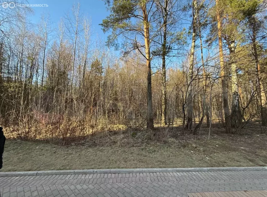 Участок в Видное, улица Святослава Рихтера, 7 (76 м) - Фото 0