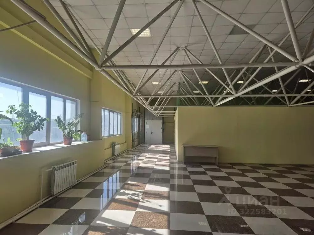 Помещение свободного назначения в Иркутская область, Иркутск ул. Олега ... - Фото 1