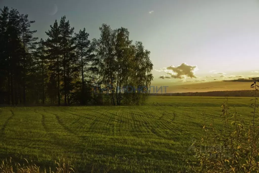 Участок в Нижегородская область, Дальнеконстантиновский муниципальный ... - Фото 1