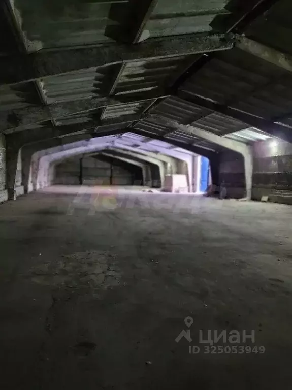 Склад в Ульяновская область, Ульяновск городской округ, пос. ... - Фото 1