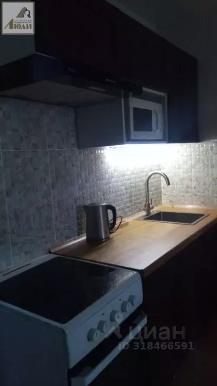 Студия Новосибирская область, Новосибирск ул. Забалуева, 90 (27.0 м) - Фото 1