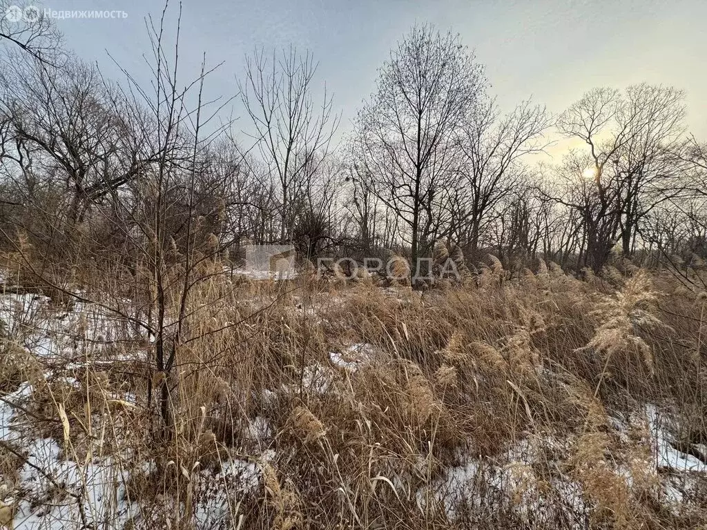 Участок в Надеждинский район, СНТ Серебрянка-2 (10 м) - Фото 1