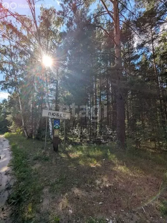 Участок в муниципальное образование Новосельское, село Любец (15 м) - Фото 1