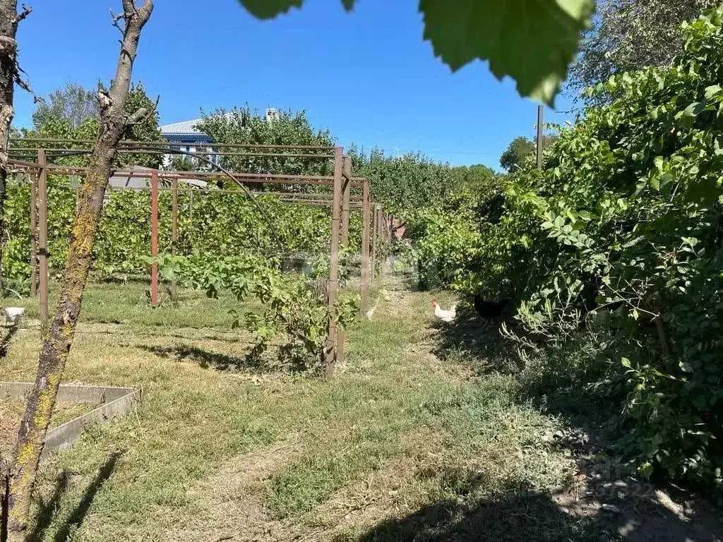 Участок в Ростовская область, Аксайский район, Старочеркасская ст-ца ... - Фото 0