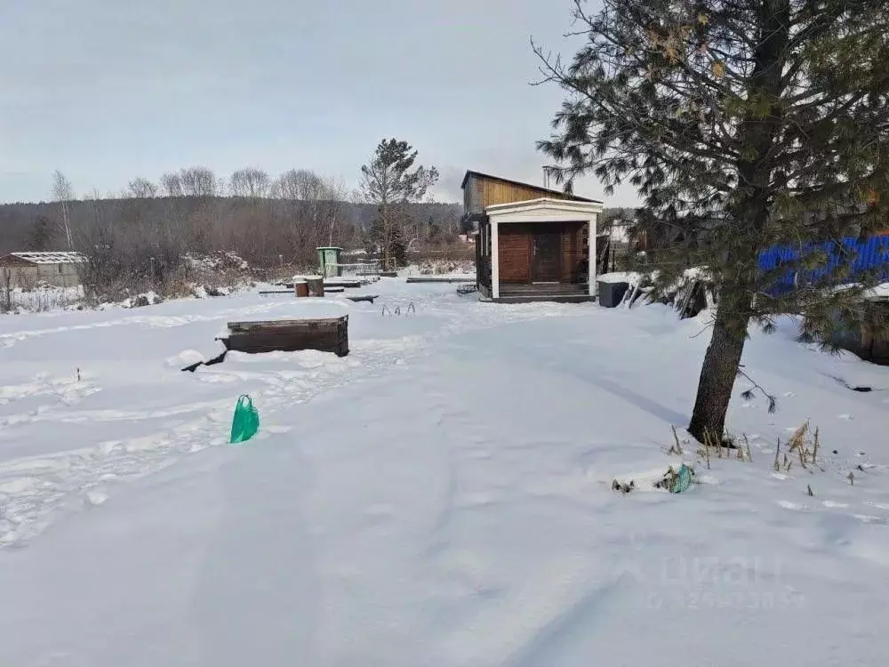 Участок в Иркутская область, Иркутск Солнышко-2 СНТ, ул. Кедровая, 151 ... - Фото 2