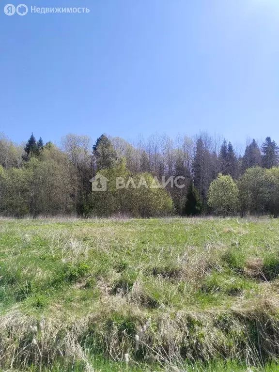 Участок в Вологодский муниципальный округ, посёлок Фетинино, ... - Фото 1